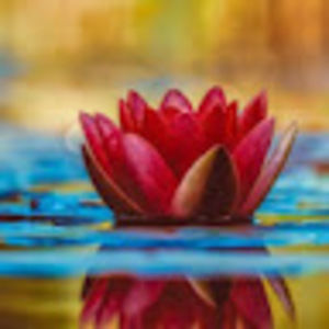 Meet your Posher, Arielle